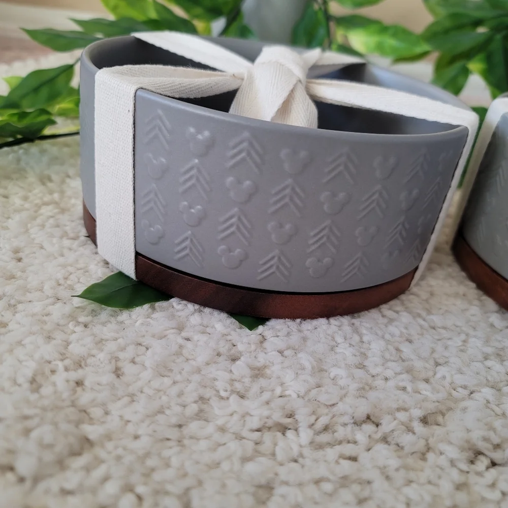 Disney Puppy Food Bowls (x2)